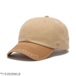 Visor Logo Series