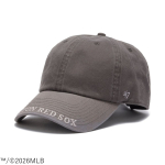 Visor Logo Series