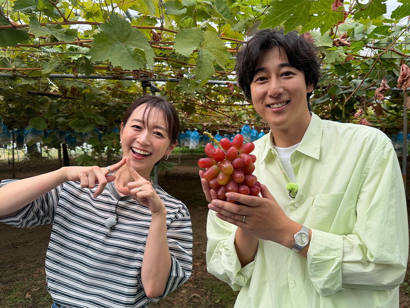 ブドウ狩りする伊藤舞アナ、岡澤アキラさん