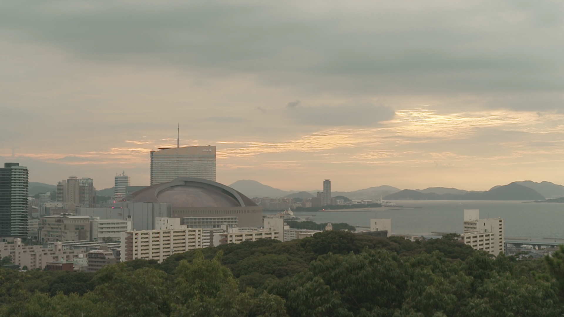 西公園 展望台