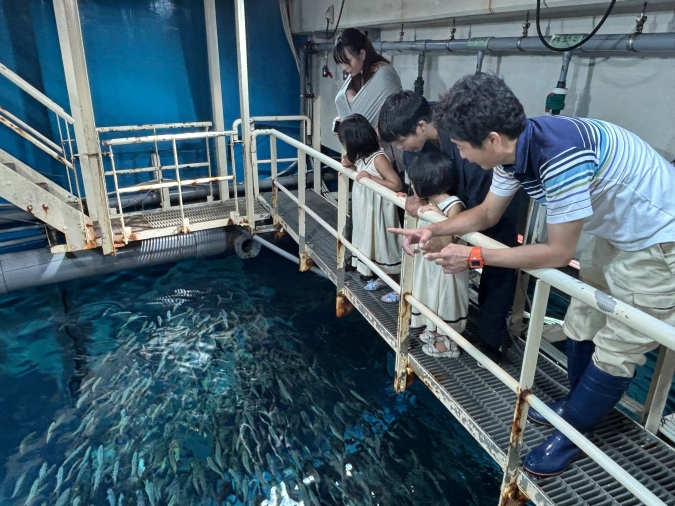 マリンワールド海の中道・バックヤードツアー
