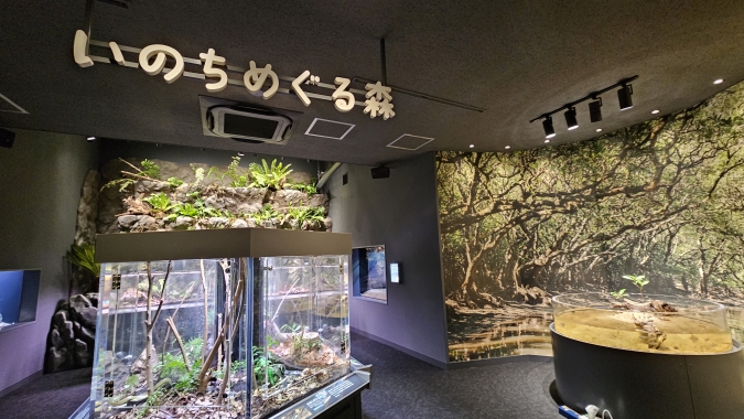 マリンワールド海の中道　奄美の海と森ゾーン「いのちめぐる森」