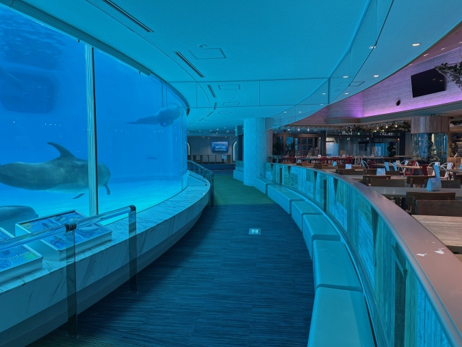 マリンワールド海の中道・レストラン横プール