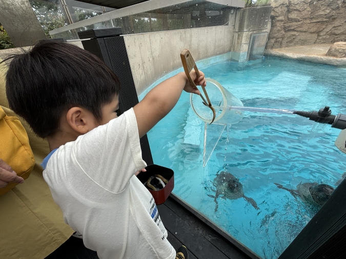 マリンワールド海の中道・パクパクアザラシ
