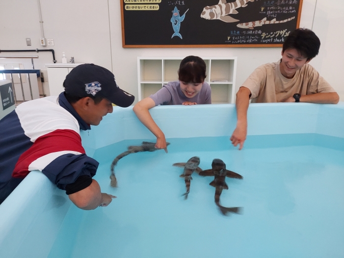 マリンワールド海の中道・ドキドキサメタッチ